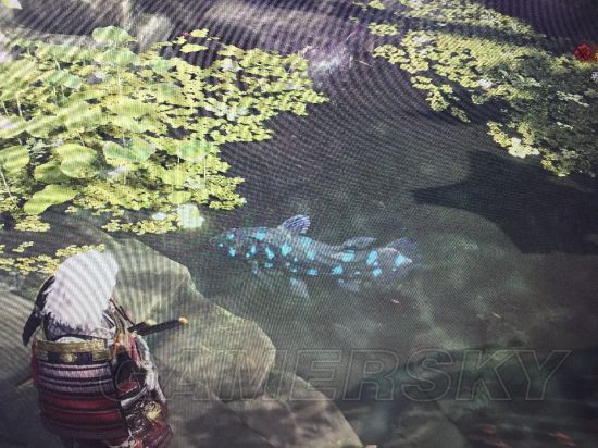 《怪物猎人世界》部分稀有动物收集攻略