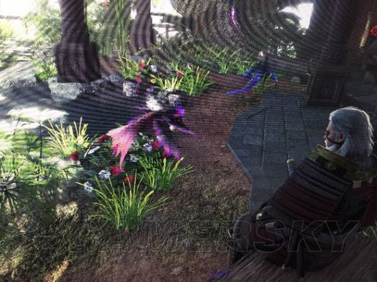 《怪物猎人世界》部分稀有动物收集攻略