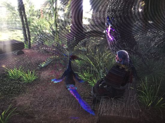 《怪物猎人世界》部分稀有动物收集攻略