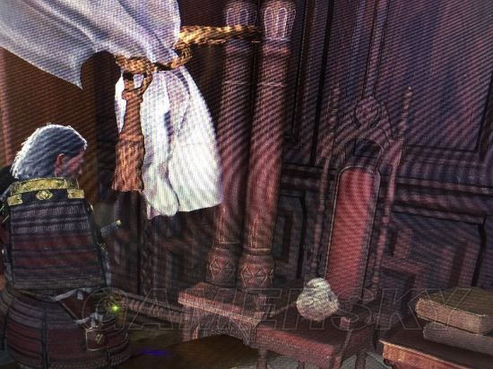 《怪物猎人世界》部分稀有动物收集攻略