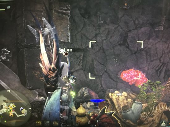 《怪物猎人世界》全稀有生物位置图文解析