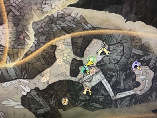 《怪物猎人世界》全稀有生物位置图文解析