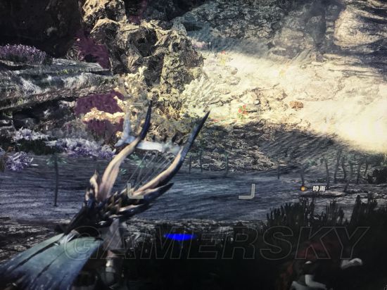 《怪物猎人世界》全稀有生物位置图文解析