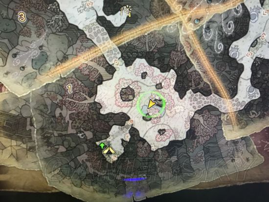 《怪物猎人世界》全稀有生物位置图文解析