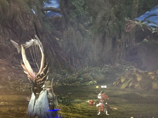 《怪物猎人世界》全稀有生物位置图文解析