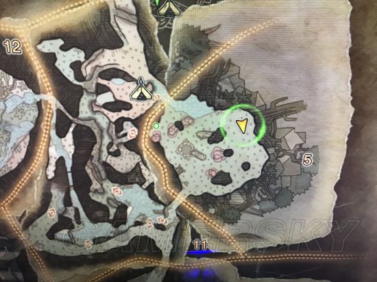 《怪物猎人世界》全稀有生物位置图文解析