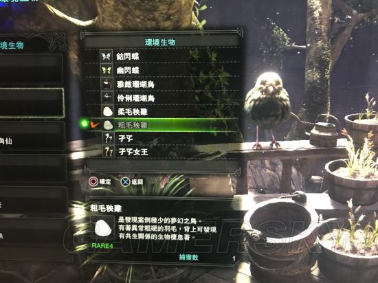 《怪物猎人世界》全稀有生物位置图文解析