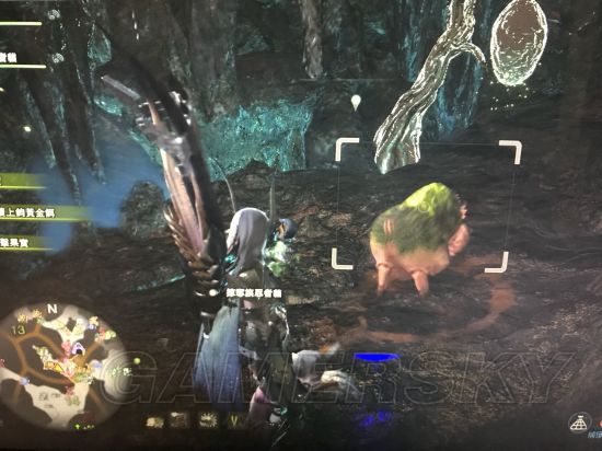 《怪物猎人世界》全稀有生物位置图文解析