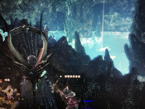 《怪物猎人世界》全稀有生物位置图文解析