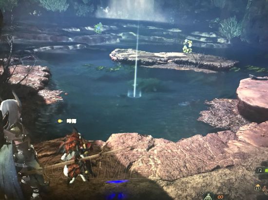 《怪物猎人世界》全稀有生物位置图文解析