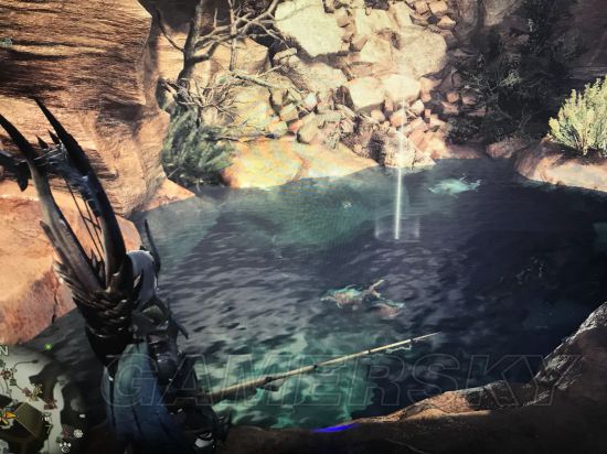 《怪物猎人世界》全稀有生物位置图文解析