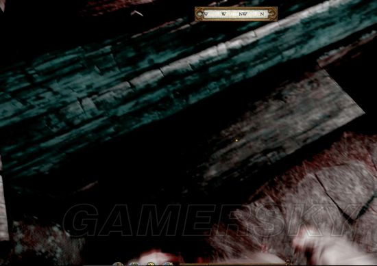 《天国拯救》拉德季大人的剑保存方法