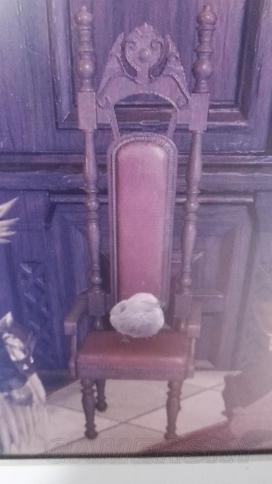 《怪物猎人世界》快速抓幻鸟方法分享 幻鸟怎么抓