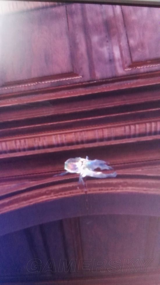 《怪物猎人世界》快速抓幻鸟方法分享 幻鸟怎么抓