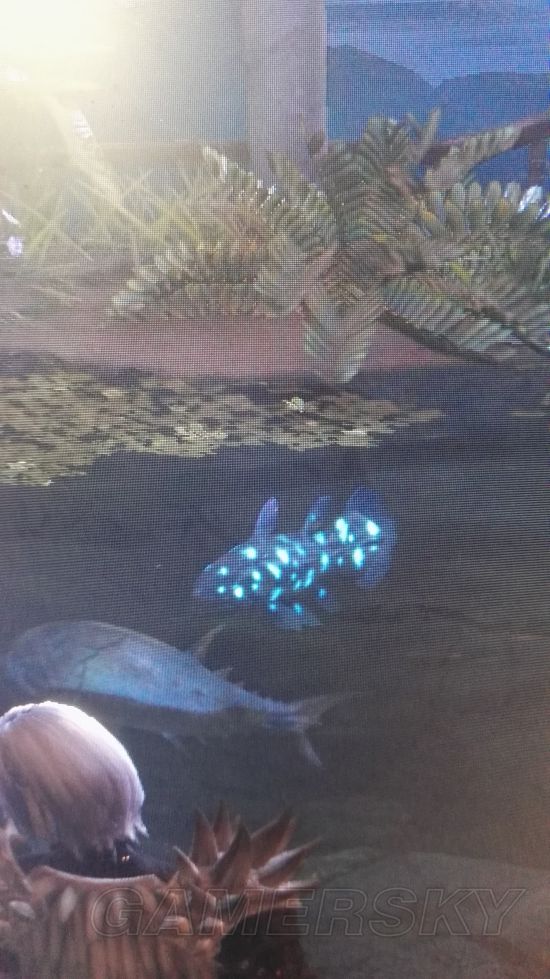 《怪物猎人世界》快速抓幻鸟方法分享 幻鸟怎么抓