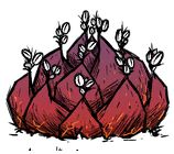 《饥荒》海难火山特点及道具物品介绍