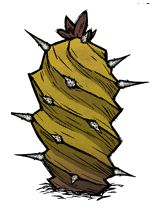 《饥荒》海难火山特点及道具物品介绍