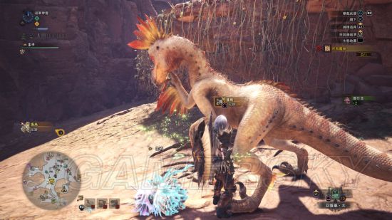 《怪物猎人世界》各怪物大小金测量方法教学 大小金体积一览