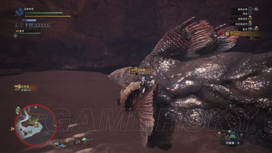 《怪物猎人世界》各怪物大小金测量方法教学 大小金体积一览