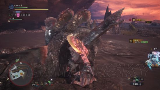 《怪物猎人世界》各怪物大小金测量方法教学 大小金体积一览