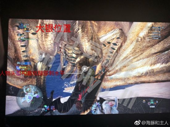 《怪物猎人世界》各怪物大小金测量方法教学 大小金体积一览