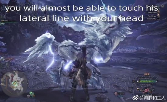 《怪物猎人世界》各怪物大小金测量方法教学 大小金体积一览