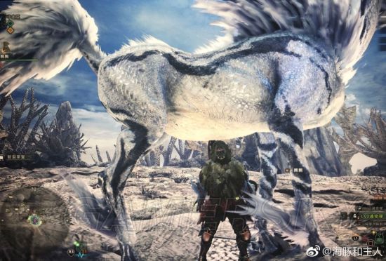 《怪物猎人世界》各怪物大小金测量方法教学 大小金体积一览