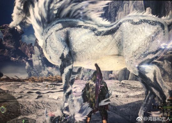 《怪物猎人世界》各怪物大小金测量方法教学 大小金体积一览