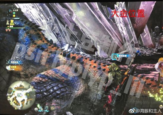 《怪物猎人世界》各怪物大小金测量方法教学 大小金体积一览