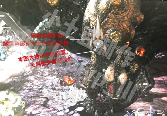 《怪物猎人世界》各怪物大小金测量方法教学 大小金体积一览