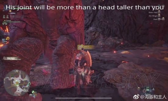 《怪物猎人世界》各怪物大小金测量方法教学 大小金体积一览