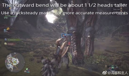 《怪物猎人世界》各怪物大小金测量方法教学 大小金体积一览