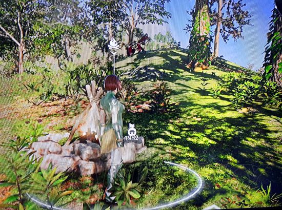 《真三国无双8》隐藏篝火位置图解 隐藏篝火在哪