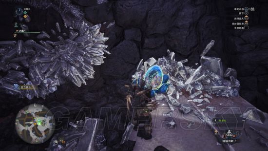 《怪物猎人世界》特产品食材位置一览