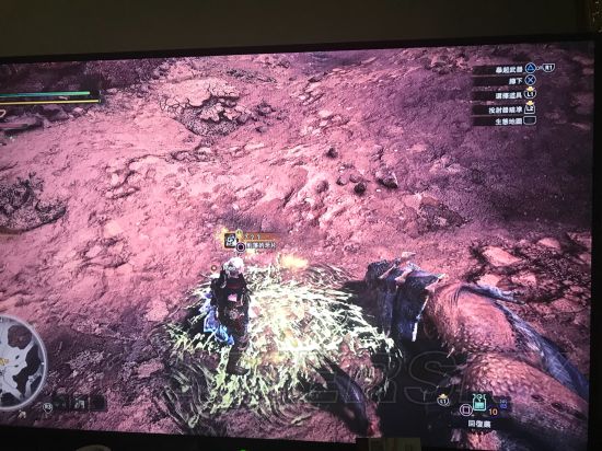 《怪物猎人世界》接受讨伐恐暴龙任务方法 恐暴龙任务怎么接