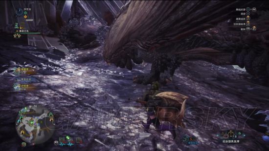 《怪物猎人世界》大小金测量攻略 大小金步数测量法详解