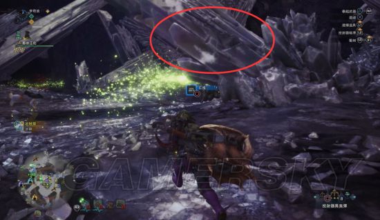 《怪物猎人世界》大小金测量攻略 大小金步数测量法详解