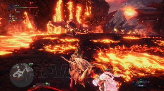 《怪物猎人世界》大小金测量攻略 大小金步数测量法详解