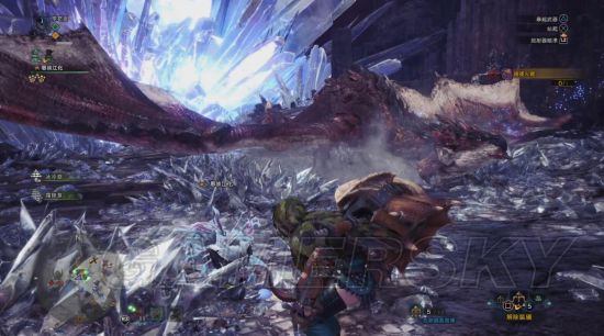 《怪物猎人世界》大小金测量攻略 大小金步数测量法详解