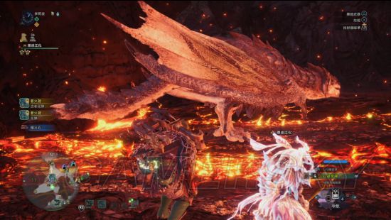 《怪物猎人世界》大小金测量攻略 大小金步数测量法详解