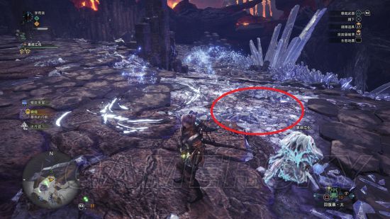 《怪物猎人世界》大小金测量攻略 大小金步数测量法详解