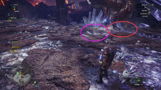 《怪物猎人世界》大小金测量攻略 大小金步数测量法详解