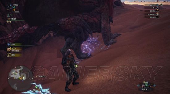 《怪物猎人世界》大小金测量攻略 大小金步数测量法详解