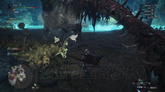 《怪物猎人世界》大小金测量攻略 大小金步数测量法详解