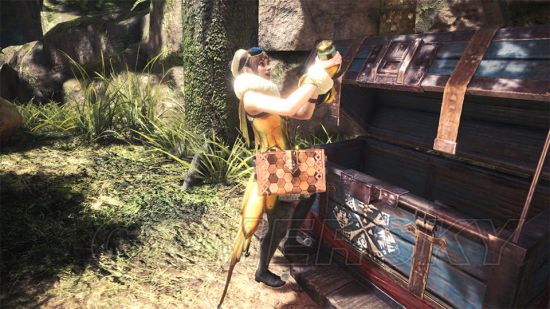 《怪物猎人世界》星辰祭活动内容一览 星辰祭有什么活动