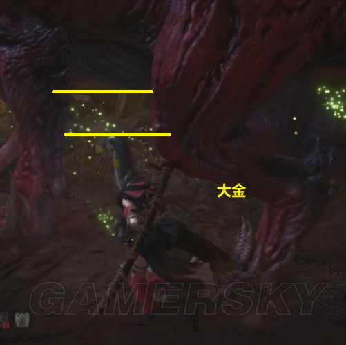 《怪物猎人世界》大小金攻略 各怪物大小金数据一览