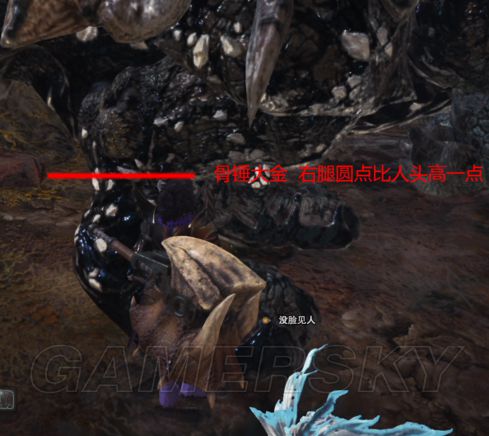 《怪物猎人世界》大小金攻略 各怪物大小金数据一览