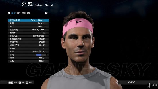 《澳洲国际网球》操作说明及模式、人物介绍