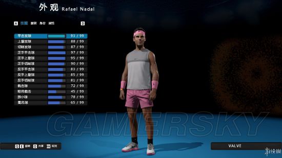 《澳洲国际网球》操作说明及模式、人物介绍