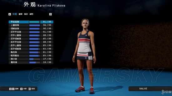 《澳洲国际网球》操作说明及模式、人物介绍